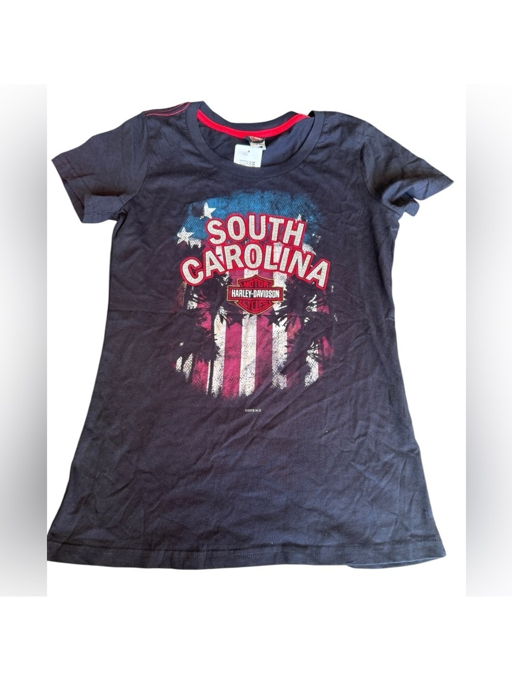 NWT Harley-Davidson South Carolina Graphic Tee
